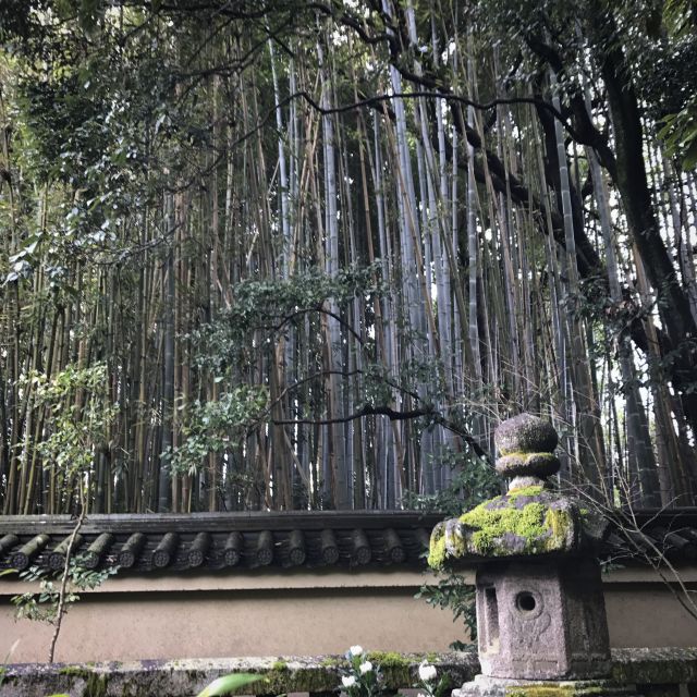 Kyoto: City Secrets eBike Tour - What the guides add to the ride