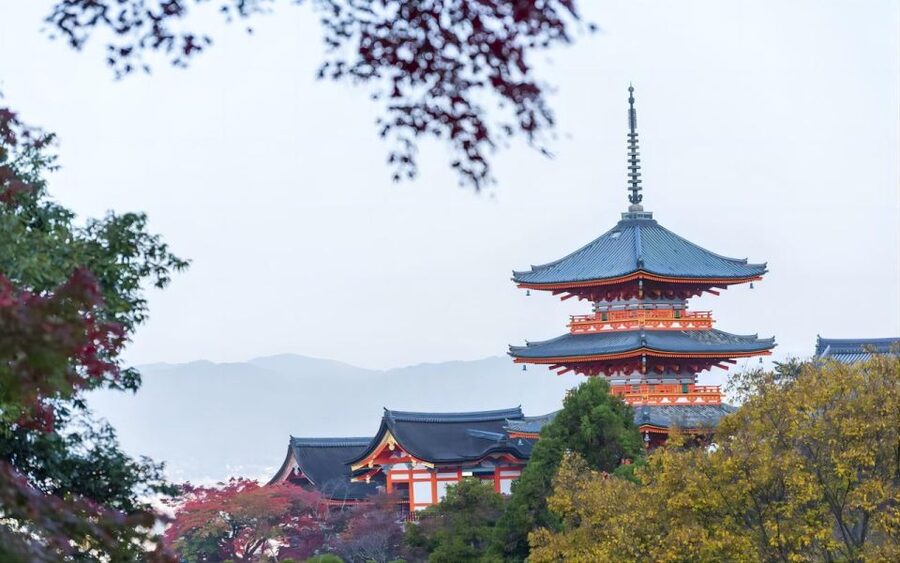 Kyoto: Customizable Full-Day Tour with Privarte Transfers - Kinkaku-ji and the famous Golden Pavilion