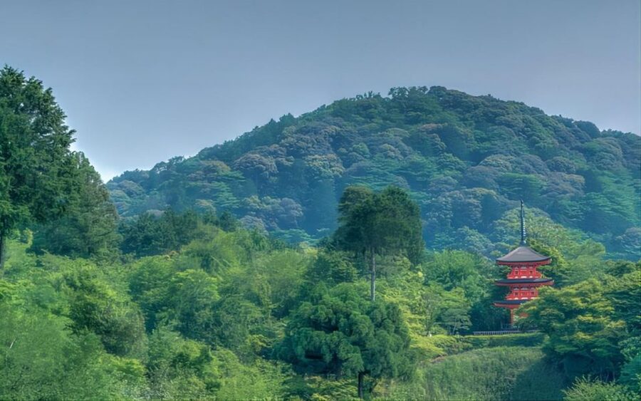 Kyoto: Customizable Full-Day Tour with Privarte Transfers - What $234 per person really buys