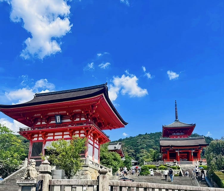 Kyoto: Customized One Day Car tour - The driver’s role, and what it is not
