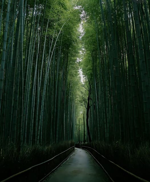 Kyoto: Customized One Day Car tour - The 8:00 am to 6:00 pm rule