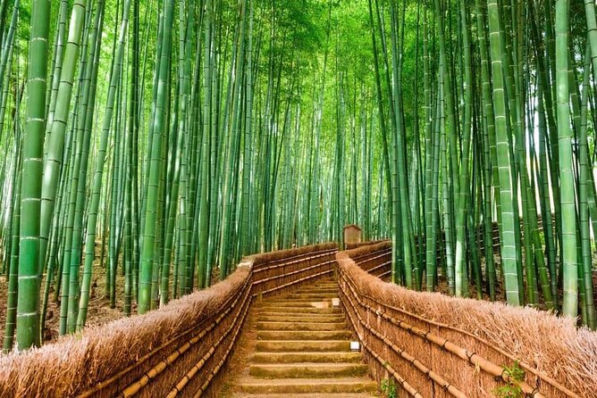Kyoto Customized Private Car Tour - A Kyoto day built around your priorities
