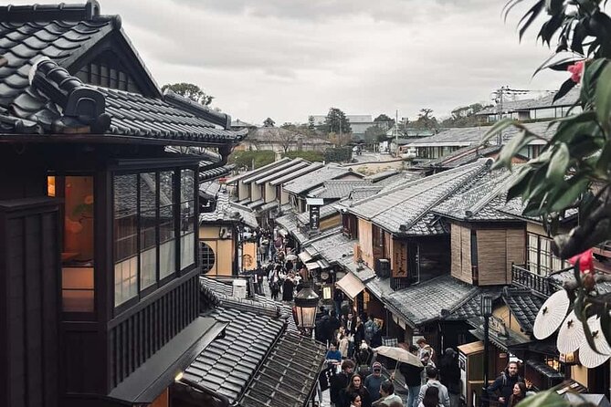 Kyoto Customized Private Car Tour - Fushimi Inari’s red gates
