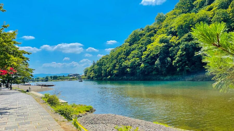 Kyoto Day Tour with Certified Tour Guide & Luxury vehicle - Guides, language, and the value of personal help