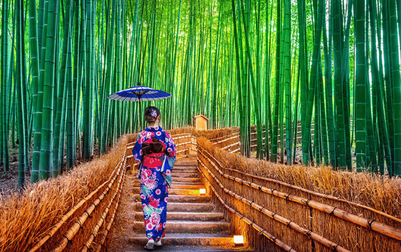 Kyoto Day Tour with Certified Tour Guide & Luxury vehicle - A private way to see Kyoto in one long day