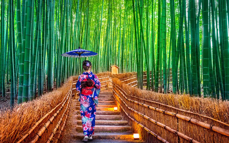 Kyoto Day Tour with Certified Tour Guide & Luxury vehicle - Kinkaku-ji offers Kyoto’s most recognizable view