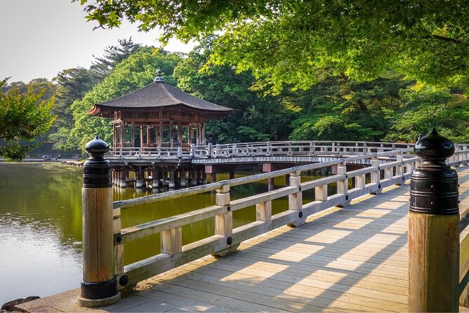 Kyoto Day Trip to Nara with a Local – Private & Personalized - What the guides add to the day