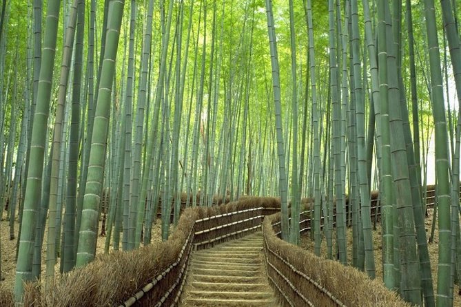 Kyoto Day Trip using Private Car with English Driver (up to 5) - Arashiyama bamboo forest: a quick western Kyoto start