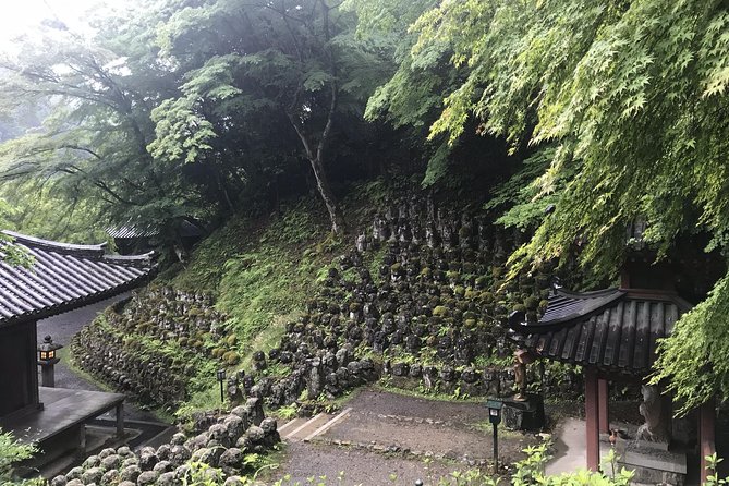 Kyoto: Descending Arashiyama (Private) - Why this Arashiyama route works