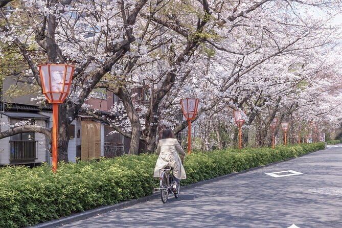 Kyoto E-Bike Tour of Hidden Gems, Backstreets and Temples - Gion Shirakawa starts the morning gently