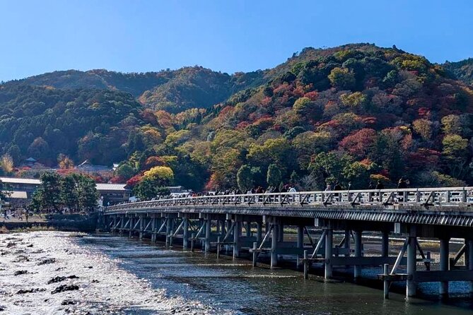 Kyoto Early Bird English Tour: Fushimi-Inari and Arashiyama - The small-group format is the tour’s strongest feature