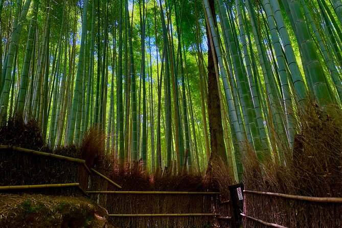 Kyoto Early Bird English Tour: Fushimi-Inari and Arashiyama - Fushimi Inari’s torii gates and Mount Inari paths