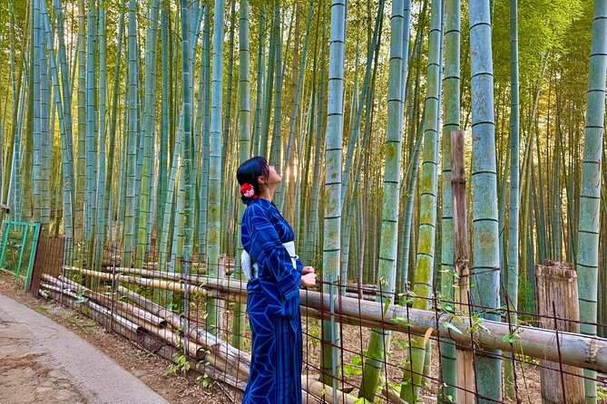 Kyoto Early Bird English Tour: Fushimi Inari & Gion(Private opt) - Gion, where the morning route turns atmospheric