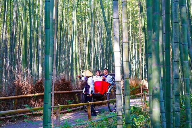Kyoto Early Bird Tour: Fushimi Inari, Arashiyama Bamboo & Monkeys - Arashiyama Bamboo Forest in the morning