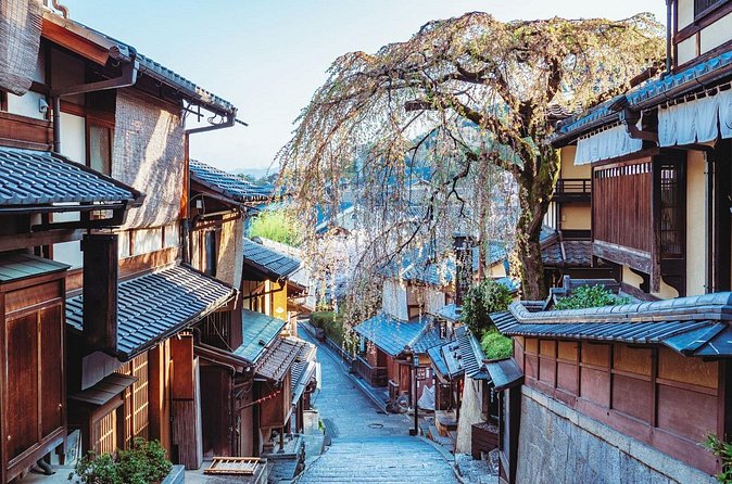 Kyoto East Early Morning Walking Tour - Is $50.73 a fair price?
