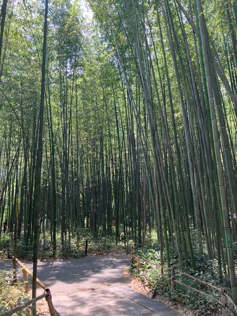 Kyoto: Essential Tour with Fushimi Inari & Bamboo Grove - Starting at Fushimi Inari Taisha