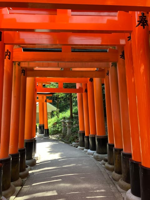 Kyoto: Essential Tour with Fushimi Inari & Bamboo Grove - Walking through Arashiyama Bamboo Grove
