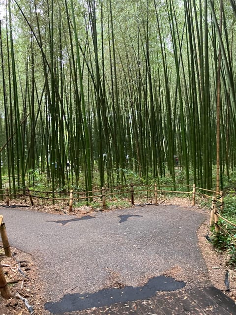 Kyoto: Essential Tour with Fushimi Inari & Bamboo Grove - Is $135 a fair price?
