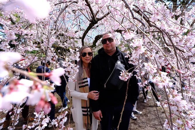 KYOTO Explore Top Highlights by Private Walking Tour - Arashiyama’s bamboo and Kimono Forest