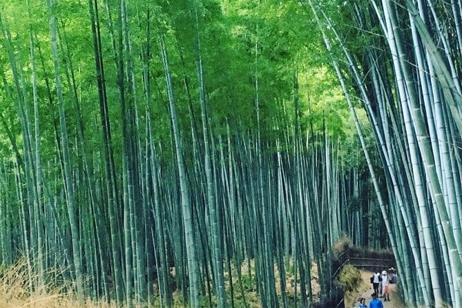 KYOTO Explore Top Highlights by Private Walking Tour - Who will get the most from this experience