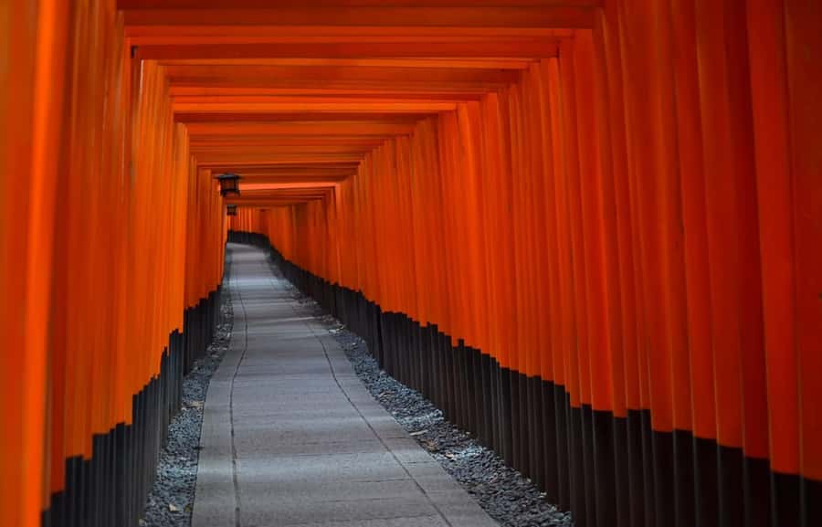 Kyoto : Flexible 3 hours Tour with a English Speaking guide. - FAQ