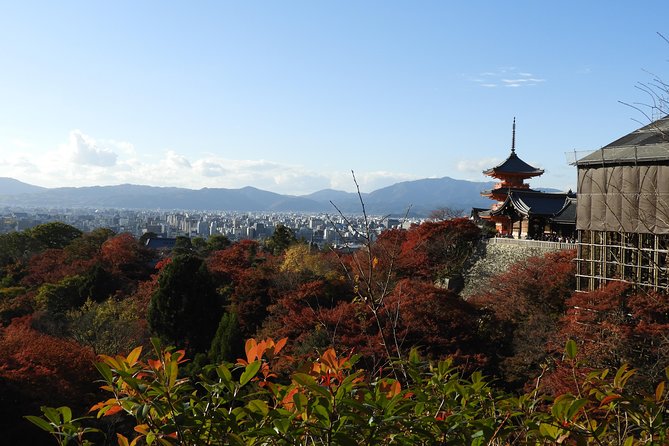 Kyoto Full Day (8 hours) Ultimate Sightseeing Private Tour - Fushimi Inari: choose your own distance under the torii