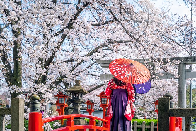 Kyoto Full Day (8 hours) Ultimate Sightseeing Private Tour - Gion: two hours for Kyoto’s old streets