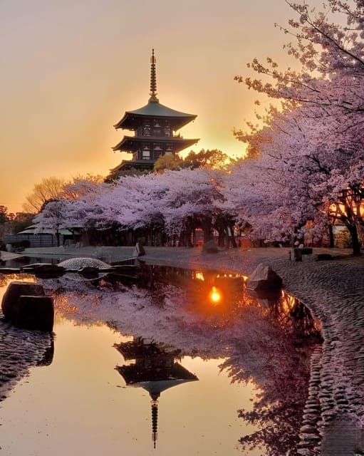 Kyoto full day private day trip with English speaking driver - Key points to know before booking
