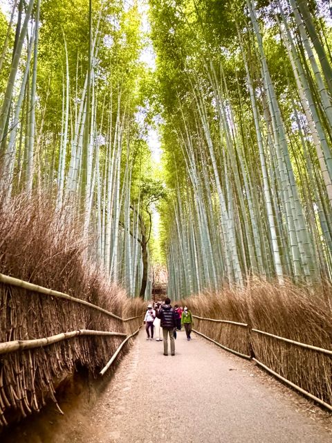 Kyoto: Fully customizable your own tour in the old capital - Starting at Kyoto Station or Shijo Station