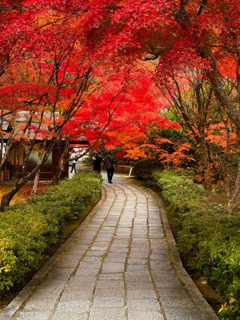 Kyoto: Fully customizable your own tour in the old capital - Who should book this Kyoto tour?