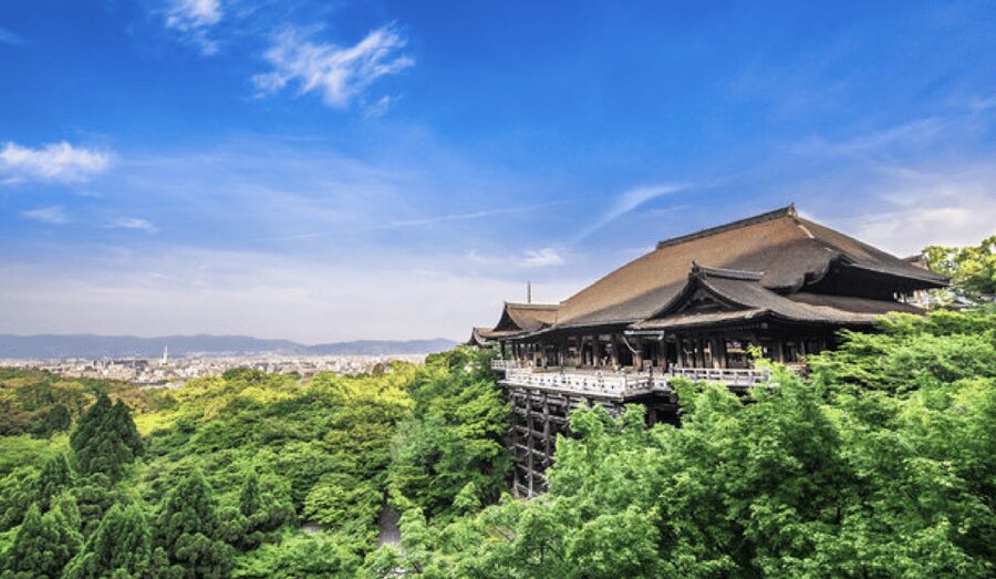 Kyoto: Fully-Customized One-day Private Tour - A private start in Kyoto
