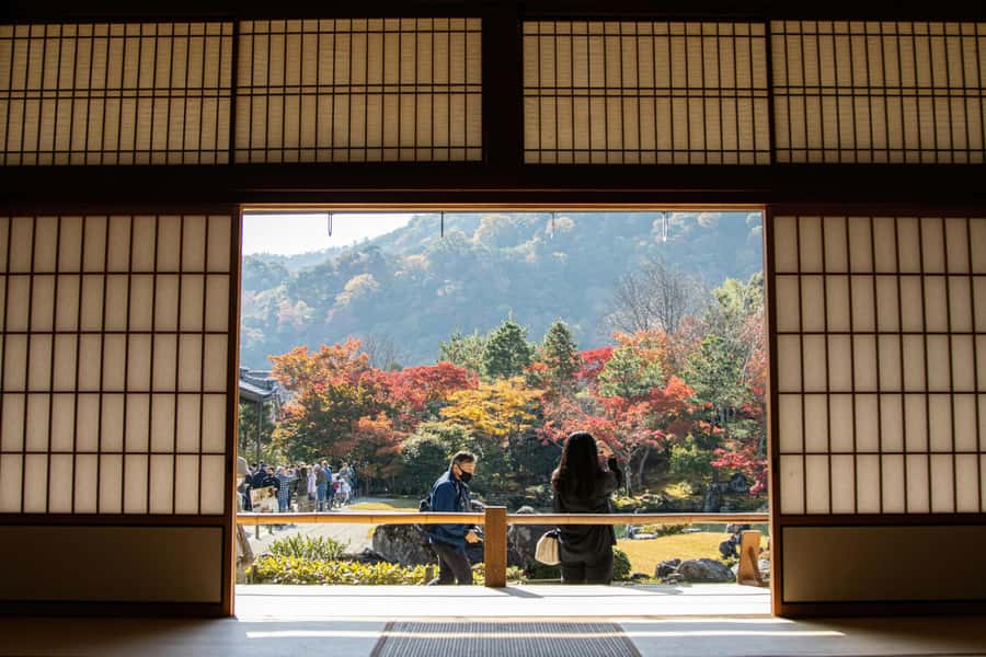 Kyoto: Fushimi, Arashiyama - Bamboo, Monkey, Torii & Secrets - Who should book this experience