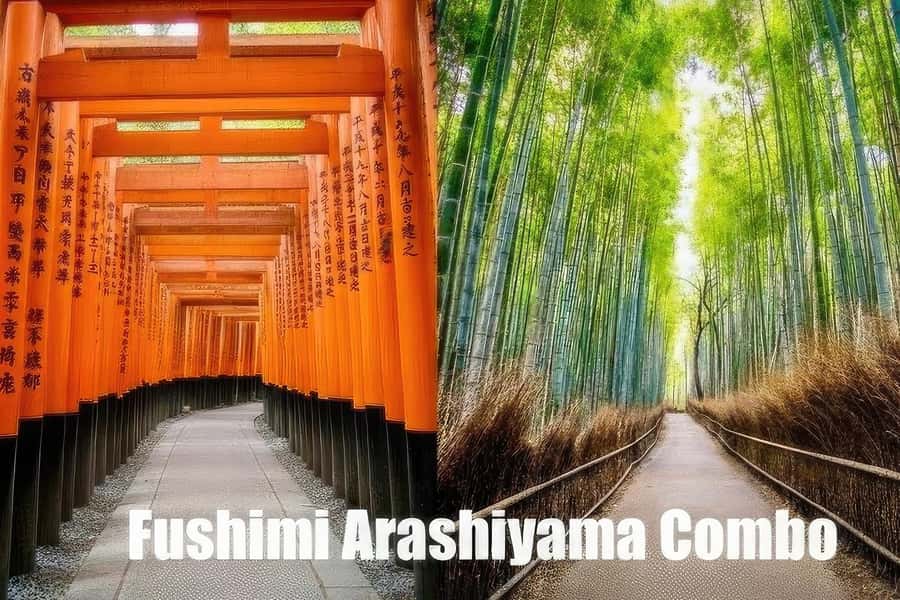 Kyoto: Fushimi, Arashiyama - Bamboo, Monkey, Torii & Secrets - Train connections and the move to Arashiyama