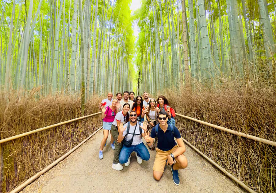Kyoto: Fushimi, Arashiyama - Bamboo, Monkey, Torii & Secrets - The bamboo forest, with realistic expectations