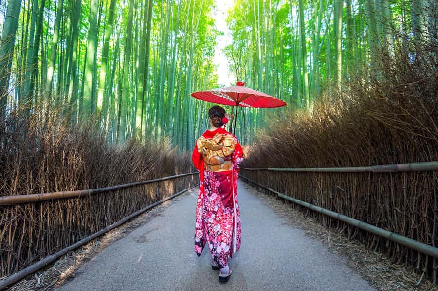 Kyoto: Fushimi, Arashiyama - Bamboo, Monkey, Torii & Secrets - Crossing Togetsukyo Bridge