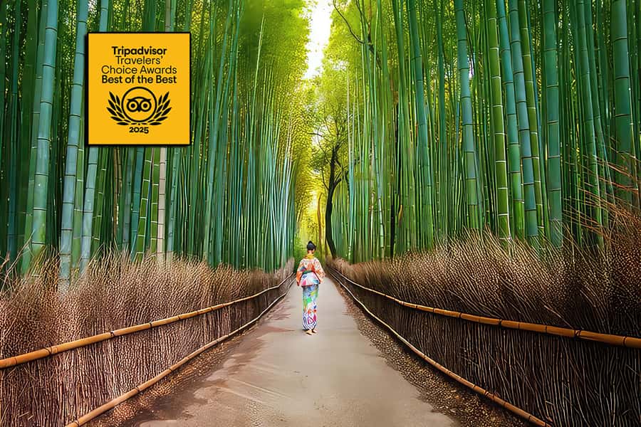Kyoto: Fushimi, Arashiyama - Bamboo, Monkey, Torii & Secrets - Starting beneath Fushimi Inari’s torii gates