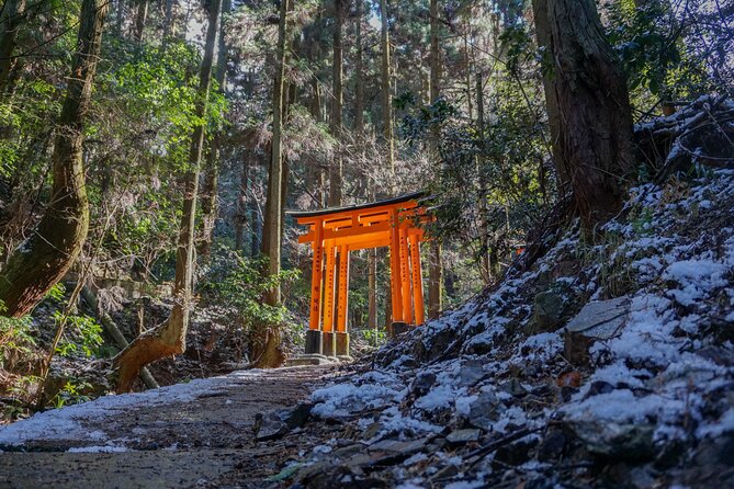 Kyoto: Fushimi Inari Hidden Hike (Private) - Why this private route changes the Fushimi Inari experience