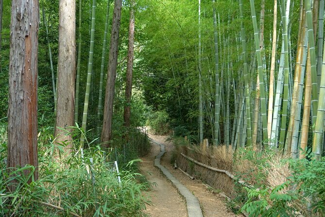 Kyoto: Fushimi Inari Hidden Hike (Private) - The Senbon Torii and main shrine area