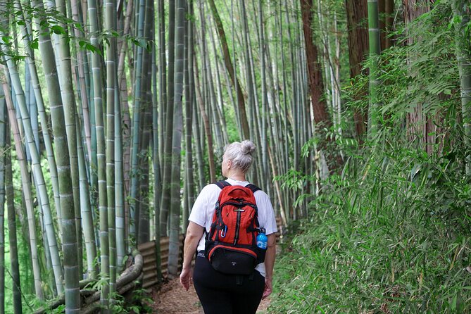 Kyoto: Fushimi Inari Hidden Hike (Private) - Fushimi Momoyama Castle views on the descent