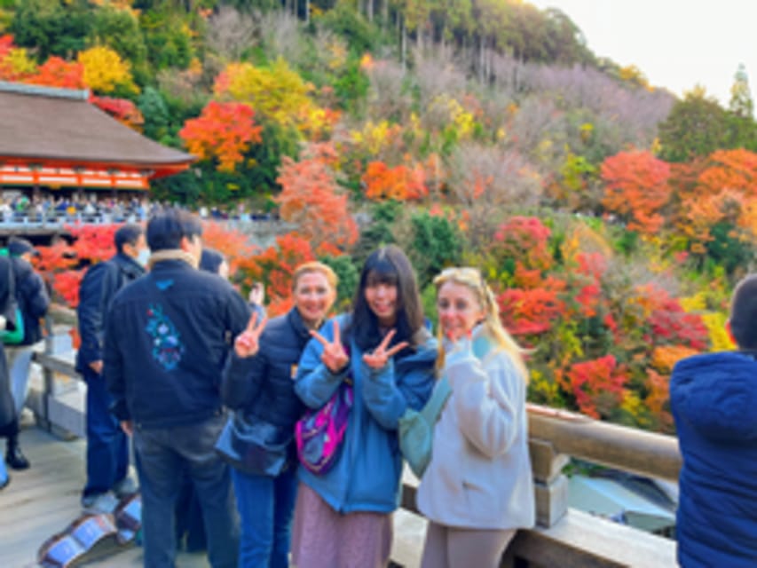 Kyoto: Fushimi Inari, Kinkakuji, Bamboo Grove 1 Day Bus Tour - Sagano Bamboo Forest, a Short Green Tunnel