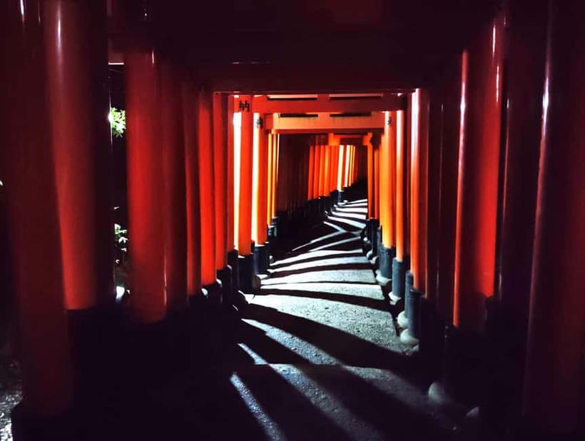 Kyoto: Fushimi Inari Taisha Night Tour with Guide - Following the first torii gates into the forest
