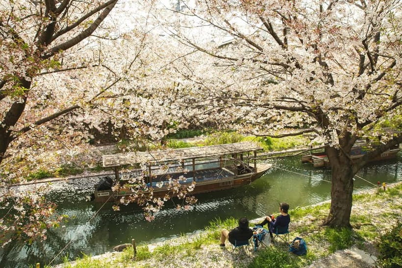 Kyoto: Fushimi Sake District Tour with Boat Ride - Key details before you book