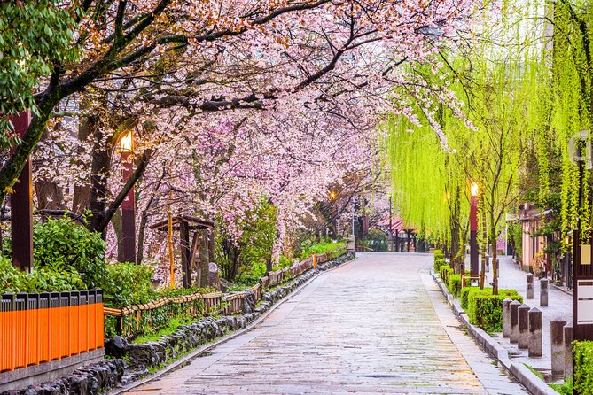 Kyoto Geisha District Walking Tour in Gion - Starting at Yasaka Shrine