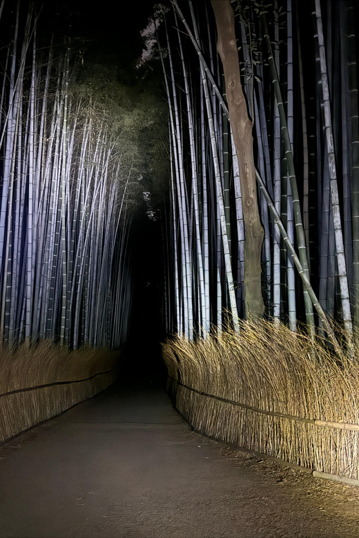 Kyoto: Ghost Tour - Legends, Dark Tales, Bamboo Forest Night - Key points to know before you book