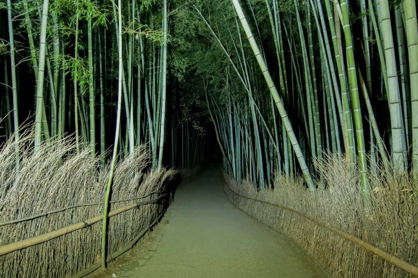 Kyoto: Ghost Tour - Legends, Dark Tales, Bamboo Forest Night - Nonomiya Shrine and the quieter side of Kyoto