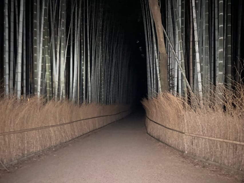 Kyoto: Ghost Tour - Legends, Dark Tales, Bamboo Forest Night - Who should book this Kyoto ghost tour?