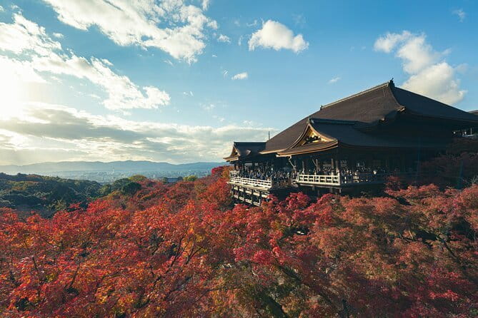 Kyoto Gion Early Morning Walking Tour - Why an early start matters in Gion