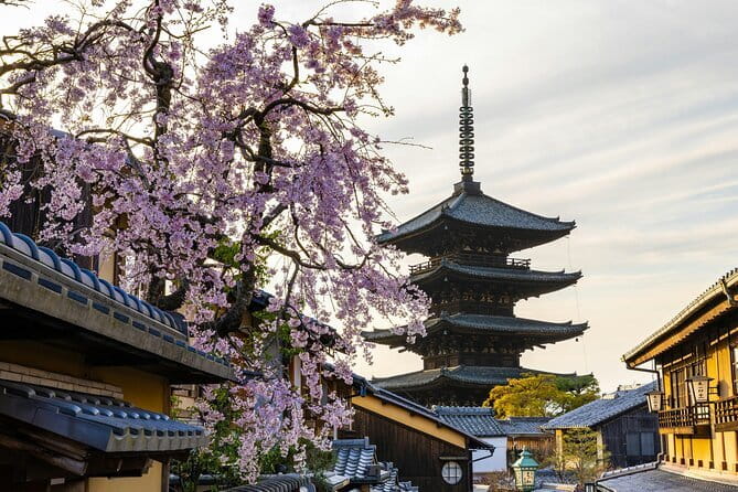 Kyoto Gion Early Morning Walking Tour - Gion Shirakawa and the quiet side of Kyoto
