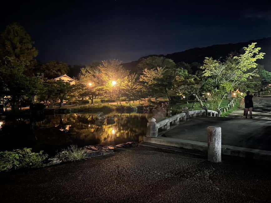 Kyoto: Gion & Geisha District Night Time Walking Tour - Ninenzaka, with slopes and wooden facades