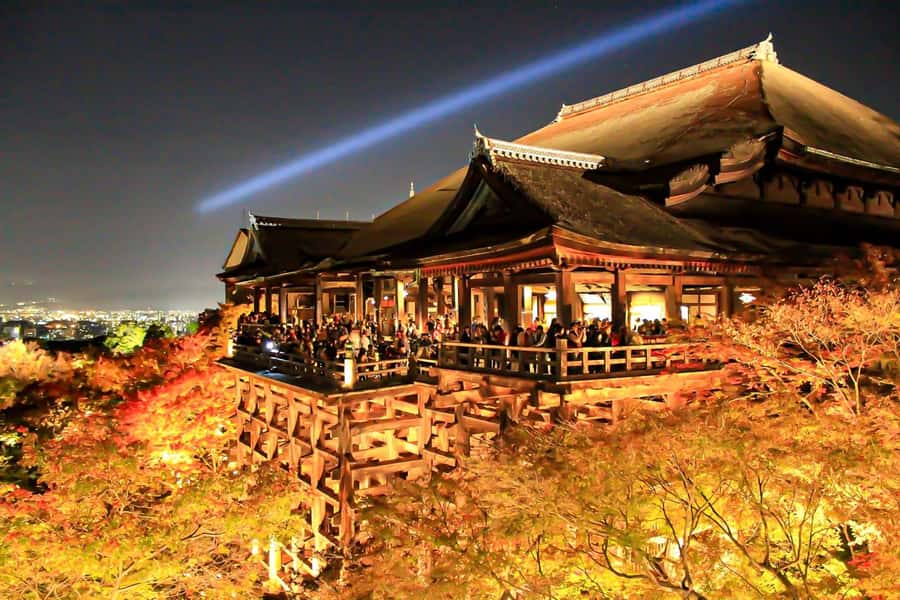 Kyoto: Gion Morning/Night Walking Tour - Key points to know before you book